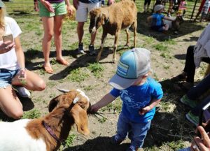 Goat and young friend